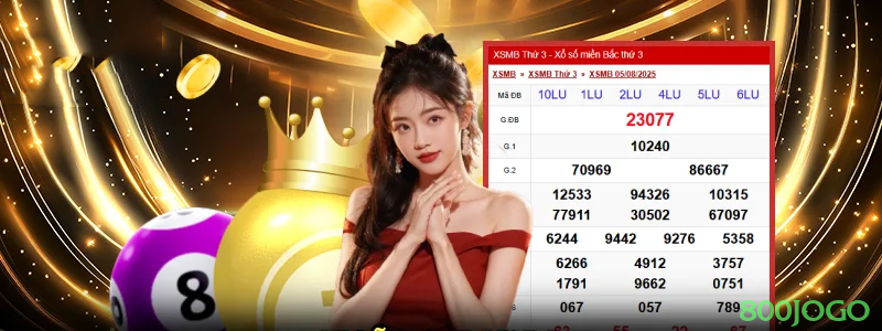 Casino Login 800jogo